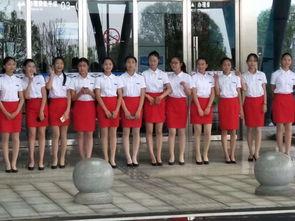 武冈新闻爆料最新消息网,最新动态速览，热点事件追踪